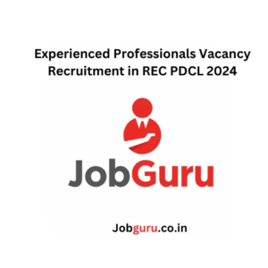 Experienced Professionals Vacancy Recruitment in REC PDCL 2024